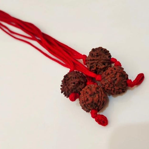 Natural Certified Nepali Rudraksha (Pack of 1)